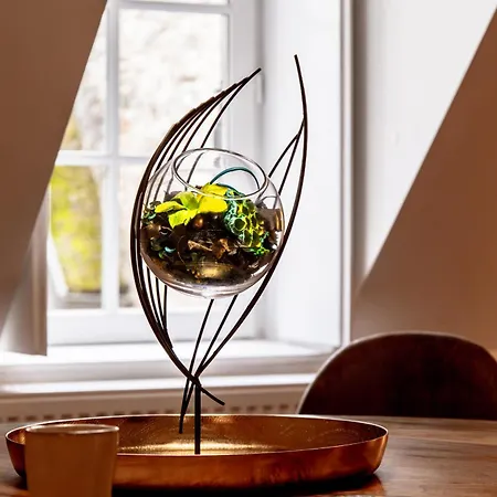 La Terrasse De La Tour דירה *