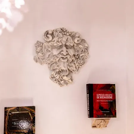 La Terrasse De La Tour